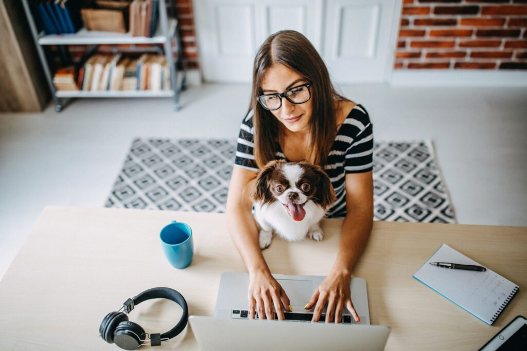 software testing wfh jobs wfh jobs
